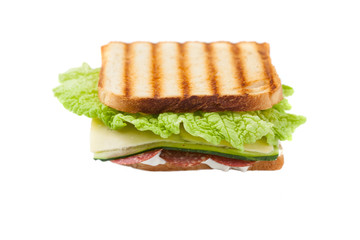 sandwich on a white background