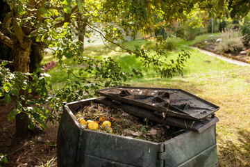 Small outdoor composting bin for recycling kitchen and garden organic waste