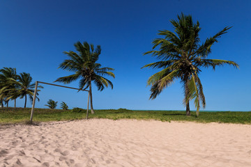 tropical beach with rustic goal, palm trees, white sand and pure