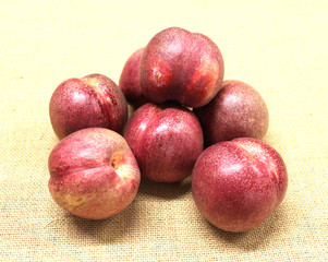 nectarine sanguine