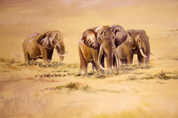 Fototapeta premium African Elephant, South Africa
