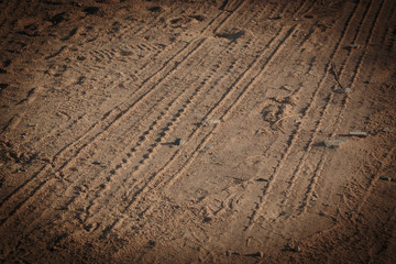 Spuren im Sand (Ägypten / Egypt)