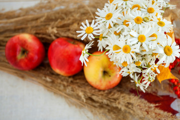 still life of red ripe apples on the spikelets