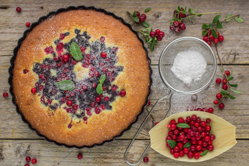 Sponge cake with berries - cranberries and blueberries
