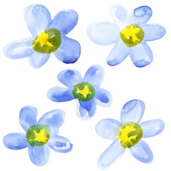 Yellow - blue watercolor flowers