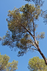 Montpellier (Hérault) - Parc du Lunaret