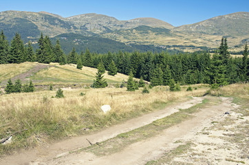 Fototapeta na wymiar Mountain road in highlands