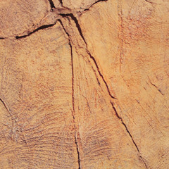 Background of brown stone wall texture (background)