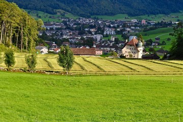 Landschaft in der Abendsonne. Dahinter bereits im Schatten liegt die Stadt Glarus