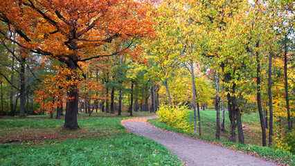 Naklejka premium View colorful park alley in autumn. 