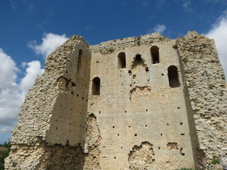Charente-Maritime - Saint-Sornin - Pan de mur de la tour de Broue