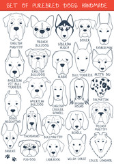 Set of 24 dogs different breeds handmade. Head dog