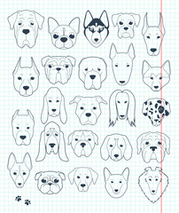 Set of sketches 24 dogs different breeds handmade. Head dog
