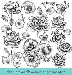 Collection of high detailed vector flowers for design