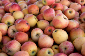 organic apples from fruit shop