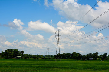 Antenna fields in the countryside .