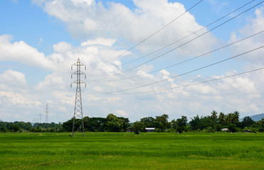 Antenna fields in the countryside .