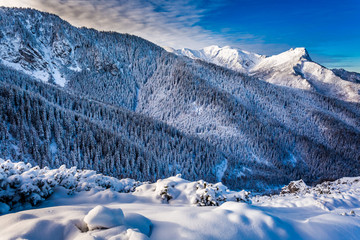 Cold dawn in Tatra Mountains