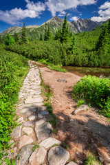 Fototapeta na wymiar Stony trail in the mountains