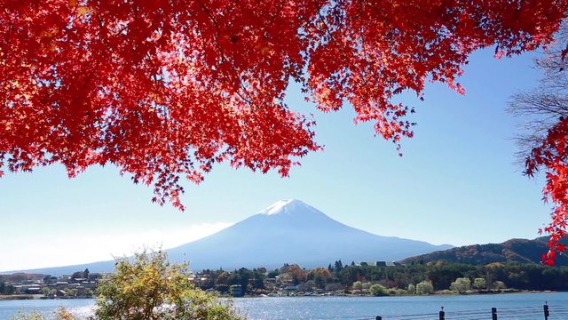 富士山と紅葉