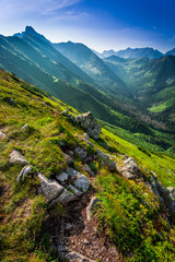 Obraz premium Dawn in the Tatra Mountains in summer