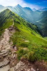 Foto op Plexiglas Voetpad in de bergen in Polen © shaiith