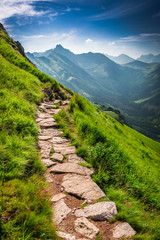 Plakat Mountains trail in Tatras at sunny day