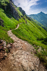 Obraz premium Mountains trail in Tatras in Poland