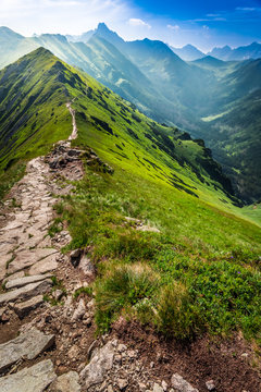 Fototapeta Footpath in the mountains in Poland