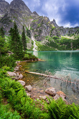 Beautiful pond in the mountains at summer - obrazy, fototapety, plakaty