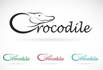 Naklejka premium Vector design crocodile is text on a white background.