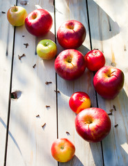 Autumn apple harvest