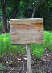 wood sign in a garden