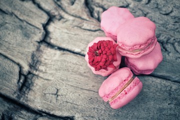 Obraz premium French macaroons with rose