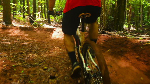 Mountain Biking Forest Trail Uphill Cross Training. Outdoor Sports Healthy Lifestyle. Young Fit Man in Red Shirt Rushes Down Mountain Bike Trail Through a Lush Forest. Slow Pan Shot with Steadicam. 