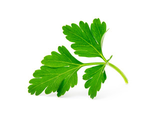 parsley