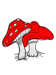 2 fliegenpilze red pair of points Pilzwald small