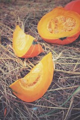 Fresh pumpkins on dried grass