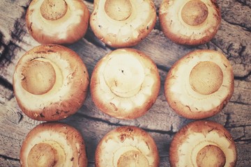 Champignon mushrooms