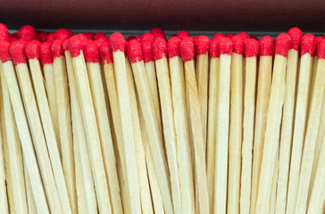 Macro close up of Red headed matches standing upright