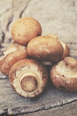 Champignon mushrooms