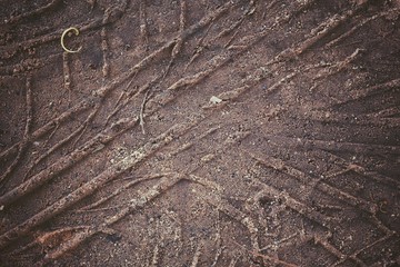 Fototapeta na wymiar Wheel tracks on the soil.