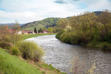 spring landscape with the river