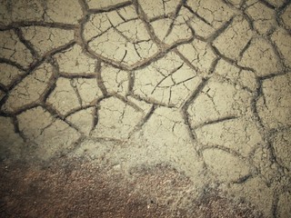Obraz premium Water on cracked dry soil&nbsp;