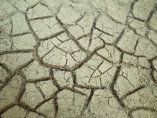 Obraz premium Water on cracked dry soil&nbsp;