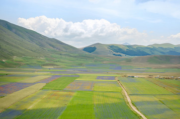 Castelluccio di Norcia, pian grande, Italy