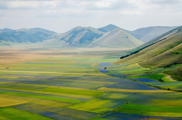 Castelluccio di Norcia, pian grande, Italy