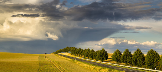 Piękne burzowe chmury nad polem © Mike Mareen