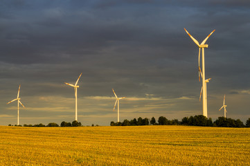 Wiatraki(turbiny wiatrowe) w świetle wschodzącego słońca © Mike Mareen