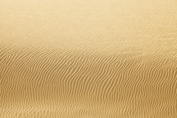 desert sand